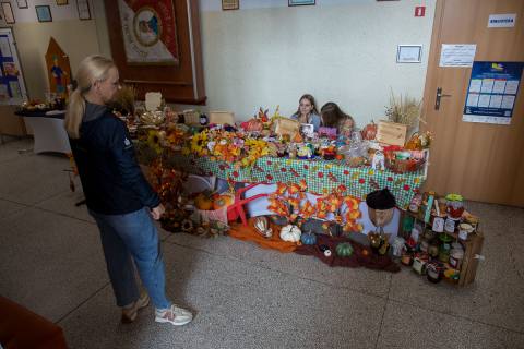 Zdjęcie 43