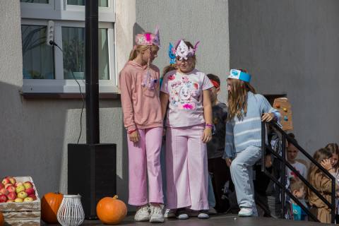 Zdjęcie 24