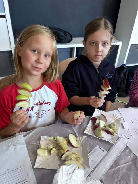 Zdjęcie 1