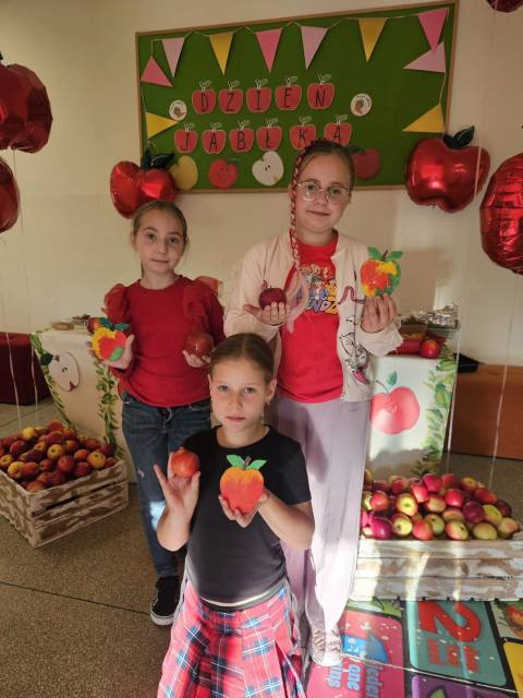 Zdjęcie 14